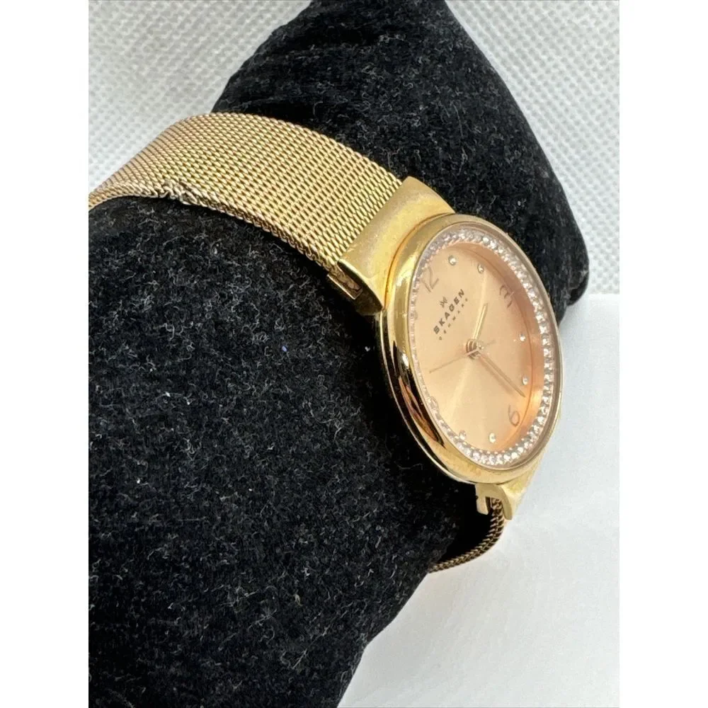Unbranded skagen skw2253
